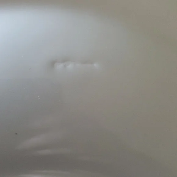 12.5 In Plate - Picture 3 of 4